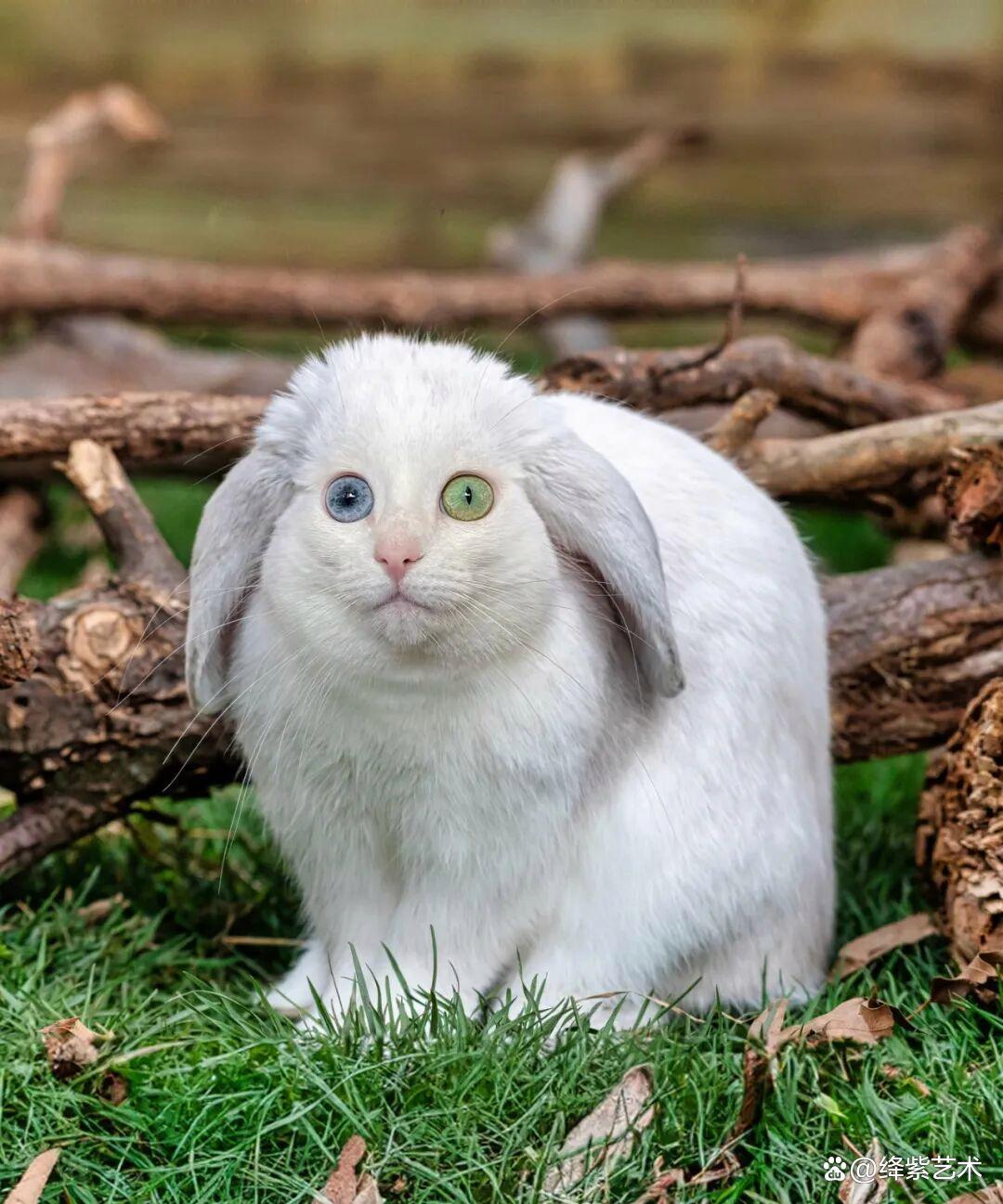 《杀戮空间2》面创服务器:打造你的专属血腥战场,体验极致合作求生!